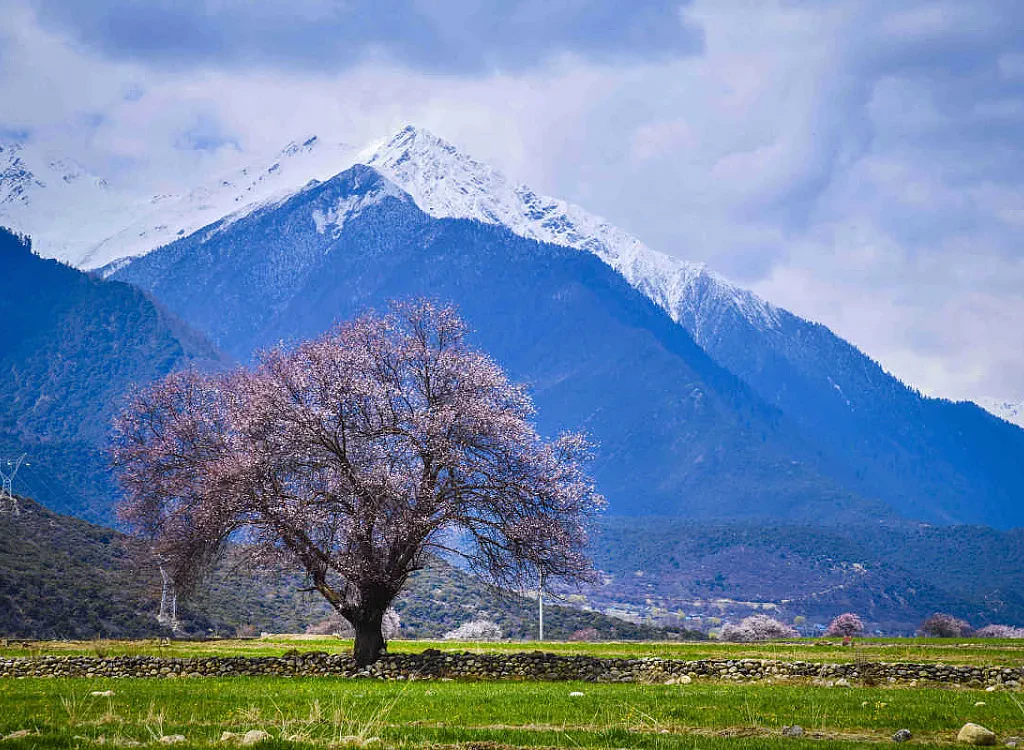 Explore The Roof Of The World: Tibet Travel Packages And Tours