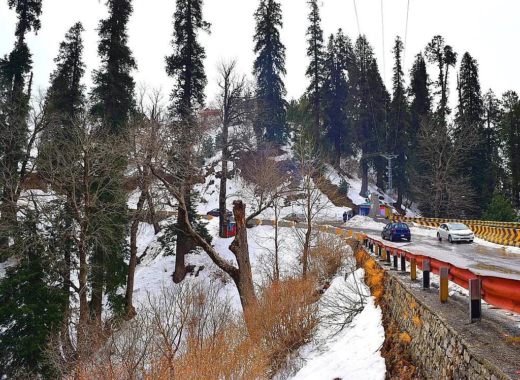 Experience The Beauty Of Nathia Gali Hike