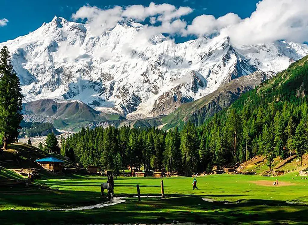 Memorable Hiking Fairy Meadows Trek