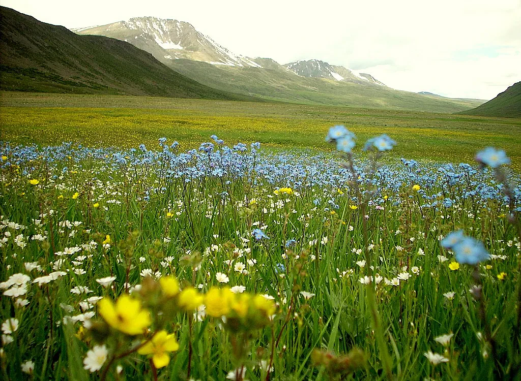 Experience The Deosai National ParkHike : A Journey Through History